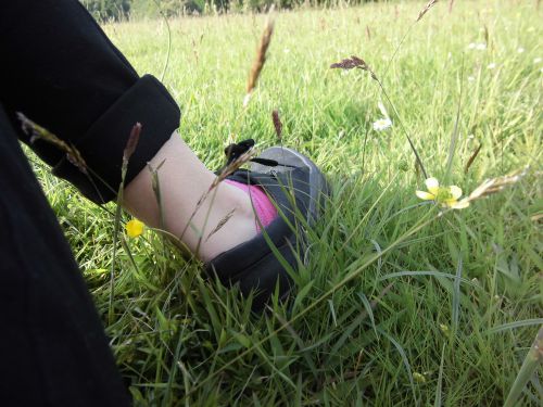 グリーンが広がる公園