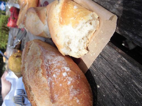 公園ピクニックの定番メニュー