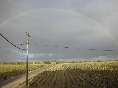 きれいなアーチです