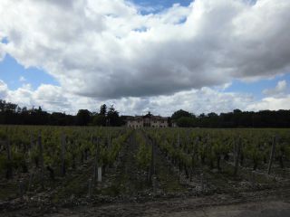 パノラマで空がみえるので、雨雲がどこにいるか明白