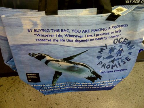 ”レジでのビニール袋を使用削減することで環境保護ができ、絶滅危惧種である南アのアフリカペンギンの生態を守ることにつながる”という説明書きのあるエコバック。