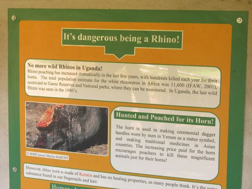 痛々しい写真が…