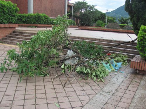 7月13日13:00頃の淡水駅