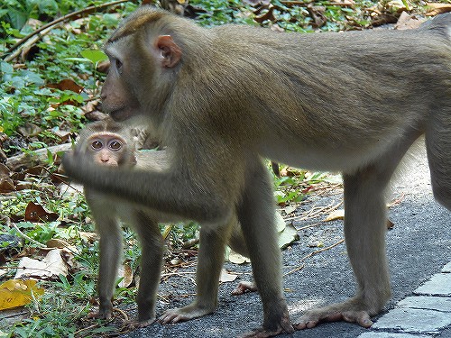 車へのイタズラも一時お預けです