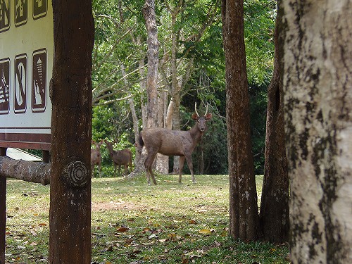 今年もそろそろ閉鎖？