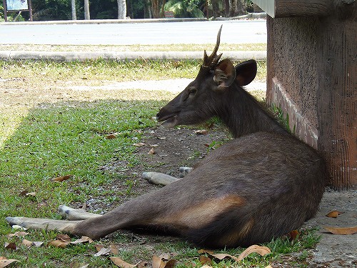 静かになるわぁ〜
