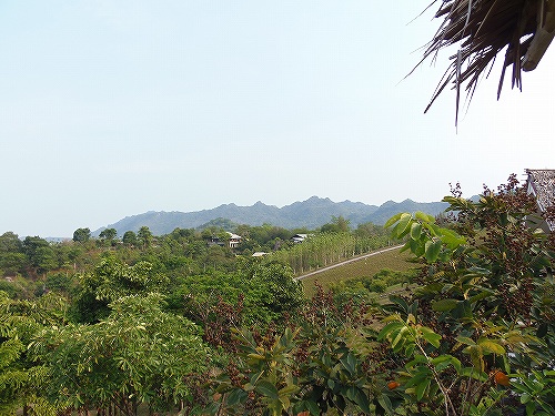 閉鎖明けに訪れるのが楽しみ