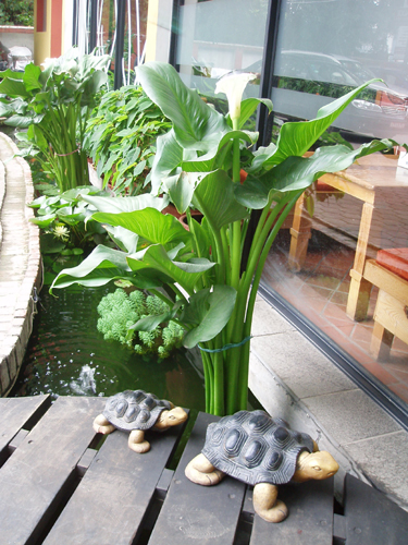 癒しの空間です。