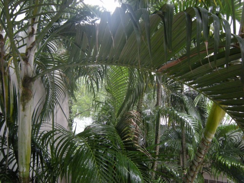 こんな自然を眺めていたら目は良くなるのかな