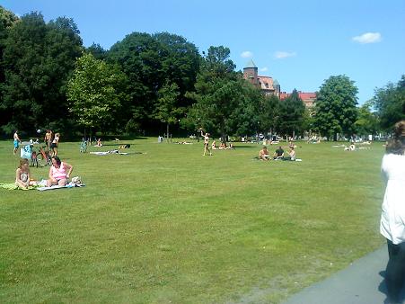 夏の公園は日光浴をする市民でいっぱいです。