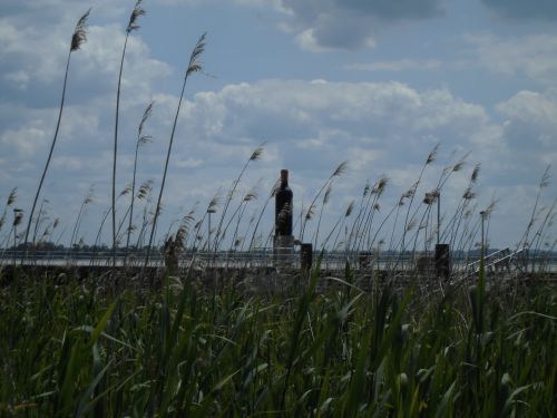 奥にみえるのは、ワインの像です