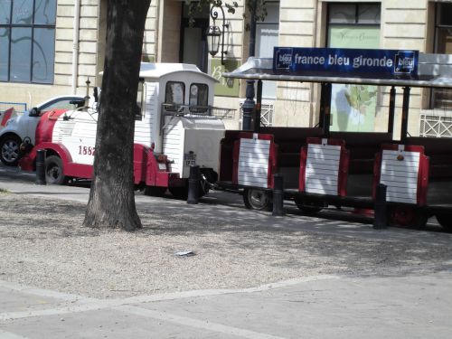 目をひく白い観光汽車