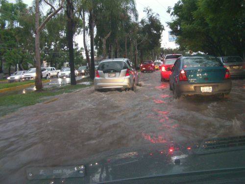 見事な冠水ぶり。川を渡っている気分です。