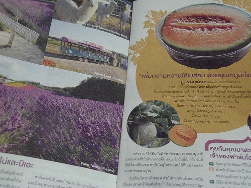 お目当ては北海道の味覚と自然？