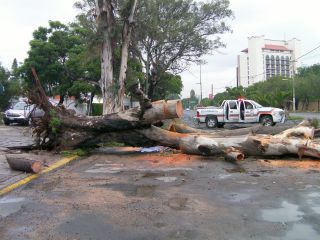 あちらこちらで迂回が必要です