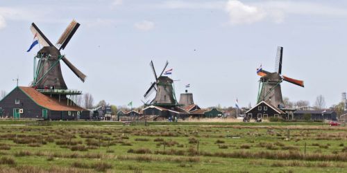 喪に服した風車。(写真提供：Metro)