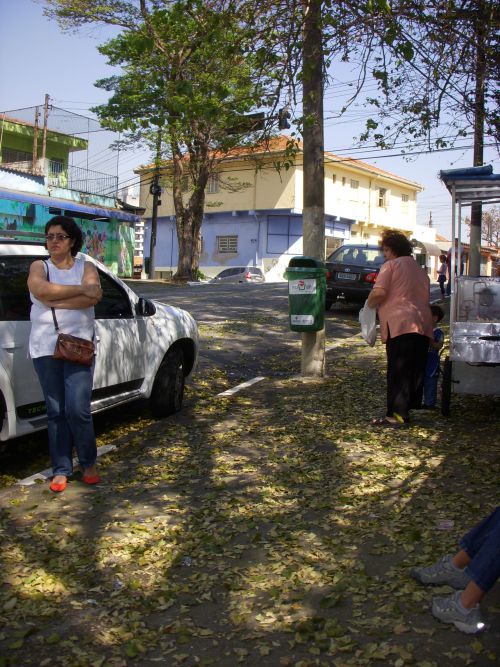 8月23日、落ち葉が広がるサンパウロ市内の街路樹