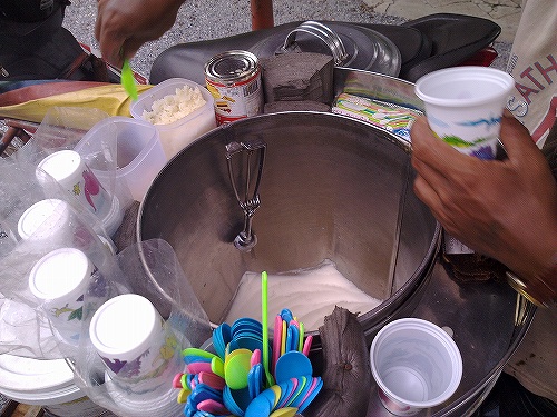 アイスはココナッツ味だけです