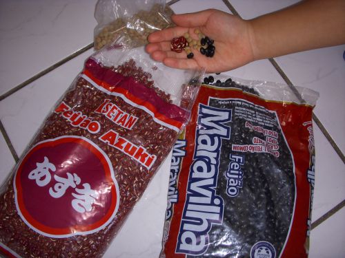サンパウロで購入できる小豆、ブラジルを代表するフェイジョアーダの食材である黒いフェイジョン、レンズマメ