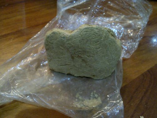 見た目は、石の塊のようですが・・