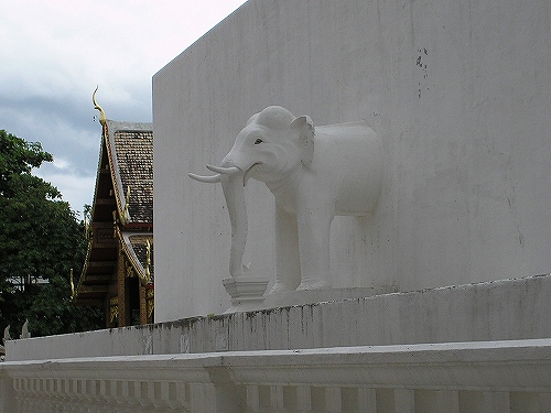 チェンマイだゾウ