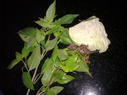 お持ち帰り用のキャベツとタイバジル　殆ど“ザク切り’です…