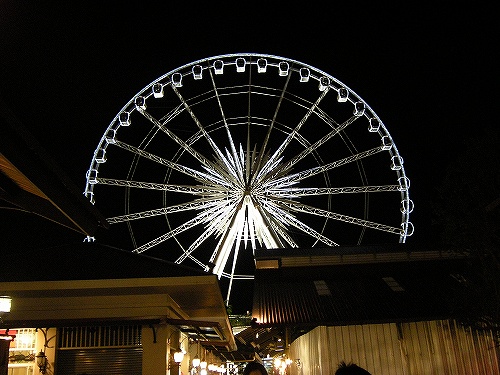 遠くからでも目に付く巨大観覧車