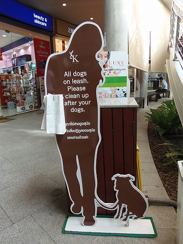 ショッピングにも愛犬を連れていけたらいいですね