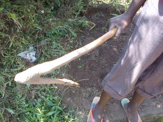 最新式の（現代版の）ホーには金具がついていました！