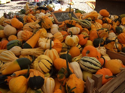 こちらのカボチャたちは食用というよりもデコレーション用のようです。