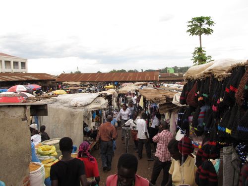 大体フットボールコート一面くらいの大きさです。