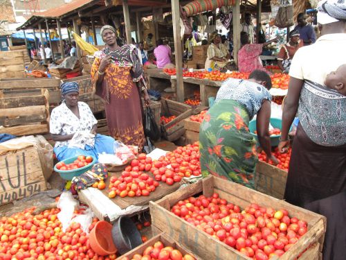 トマトのコーナー。雨季は４個で500シリング（約20円）ほど。
