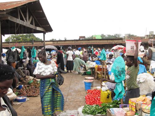 ほとんどのものが地面に直置きです。