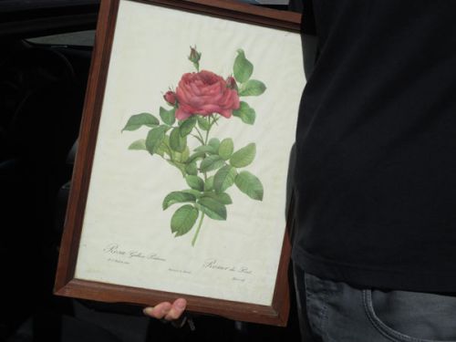 今回の収穫は、アンティーク風のローズの絵！