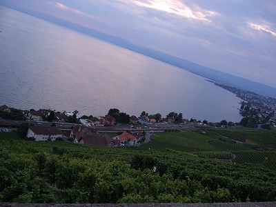夕暮れのレマン湖とブドウ畑。