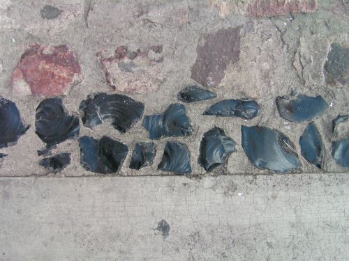 貝のように薄い段差が表面にあります。