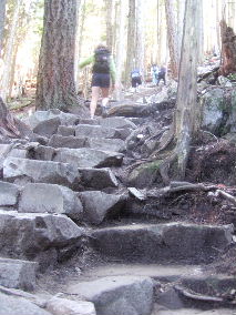 アウトドアのステアマスター･ステップマシンと紹介したこともあり