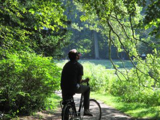 森のサイクリングコースを走るとあちこちにアートに遭遇