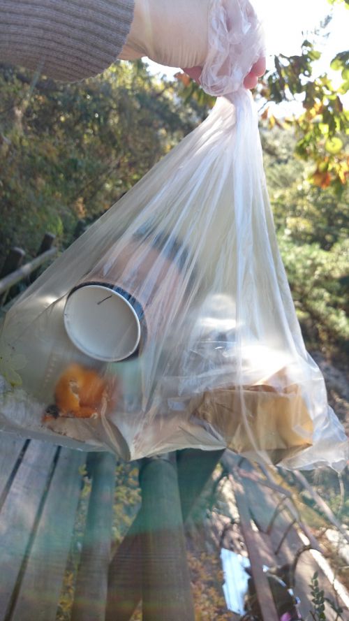 ほんの10分ほどハイキングコースを歩いてこれだけのゴミ、奥の登山路にはゴミはほぼありませんでした