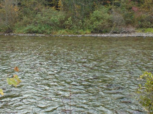 河が赤くなっているのが見えるでしょうか？