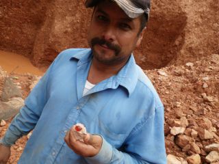 本日一番の大物を見つけたクマオさん（仮名）