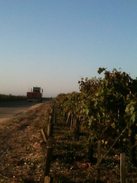 トラクターで運ばれていきます