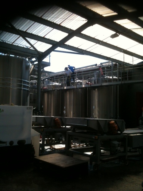 タンク（またはコンクリートタンク）にいれられ、発酵開始！