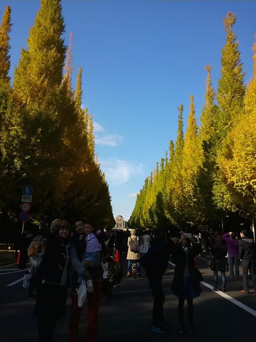 普段は車道ですが、日曜日は歩行者天国になっています。