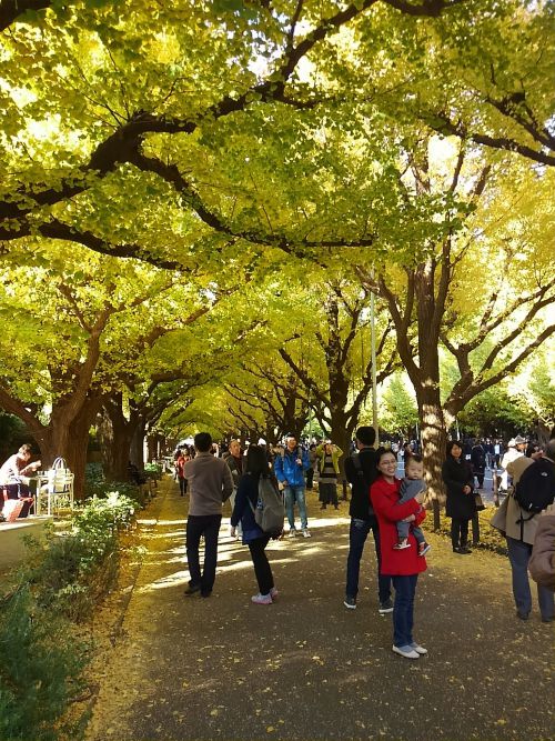 こちらは歩道。