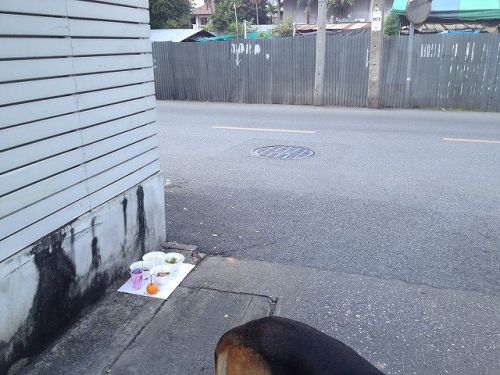 置き場所にもルールなし。こんな場所にポツンと置かれています