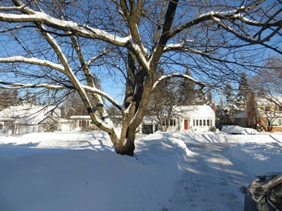 雪が積もっている東のオタワ