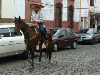 風情はあるけれどこの上にアスファルトは敷いてはいけません。