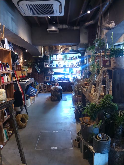 素敵な雑貨と観葉植物が並ぶ店内。