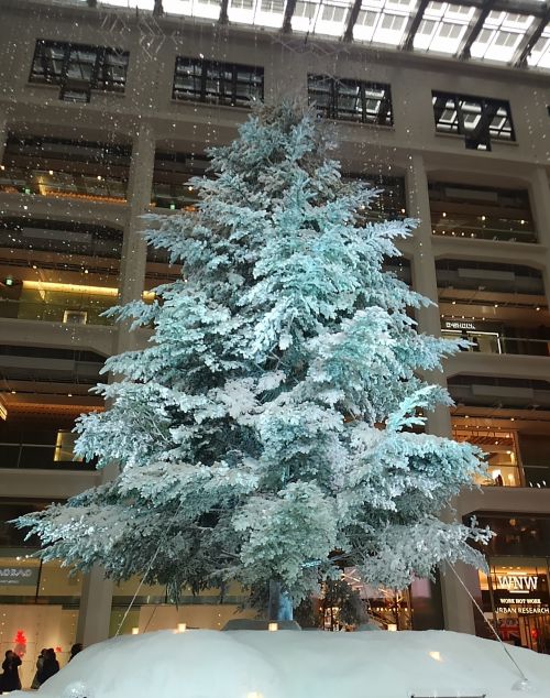 白いツリーは本当に雪でおおわれているよう。